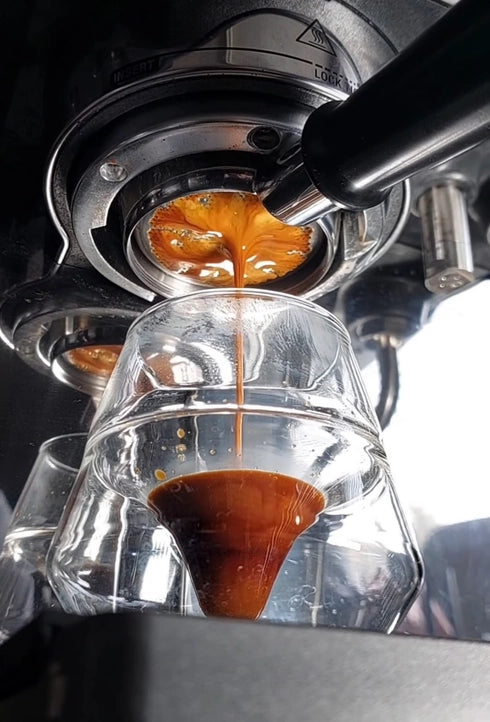 Lomond Fazenda Paraiso | Brazil Single Origin Speciality